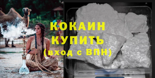 шишки Богородицк