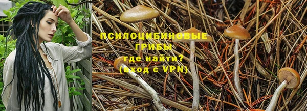 2c-b Белоозёрский