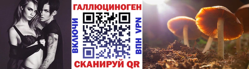 Псилоцибиновые грибы прущие грибы Купить Мамадыш